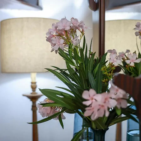 Casa Ferreira Nyaraló