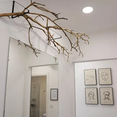 Casa Ferreira Olaia